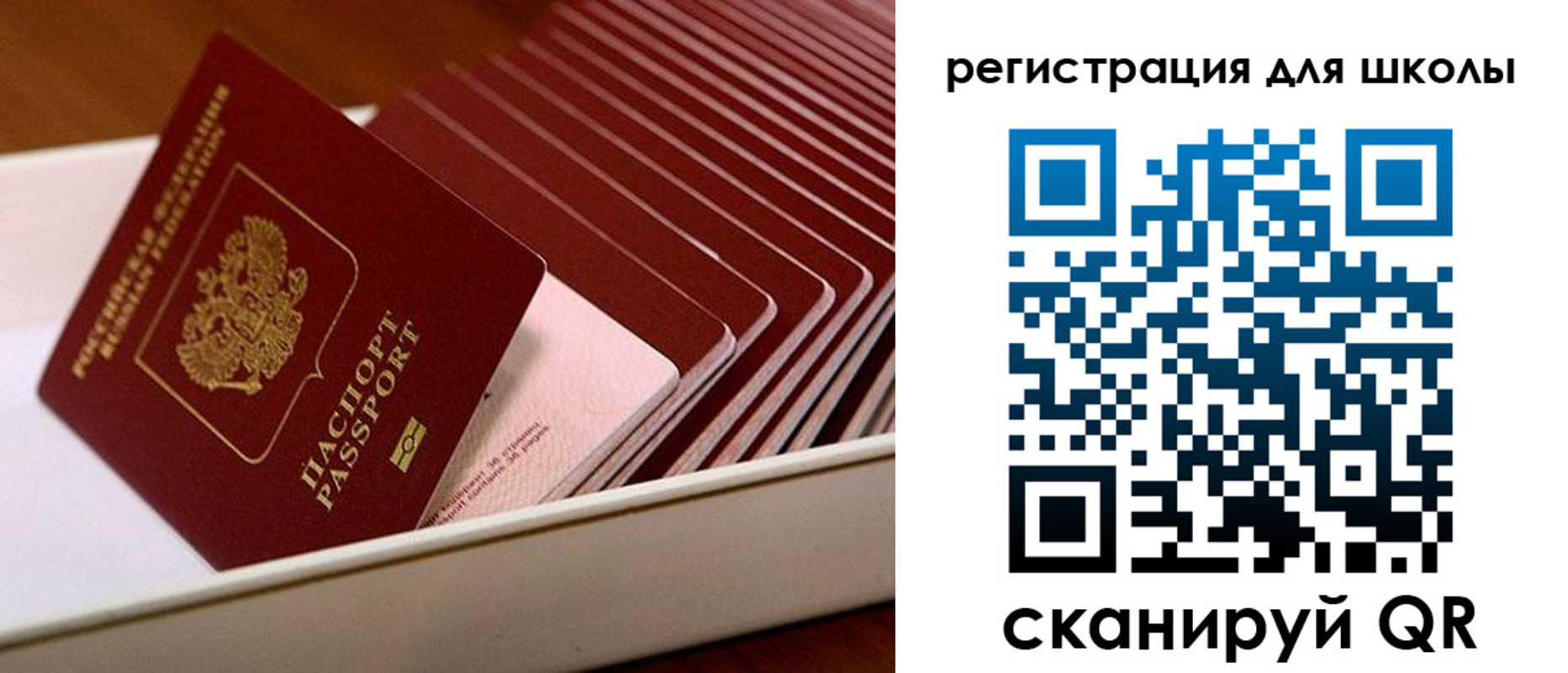 прописка гарантия в Щучье